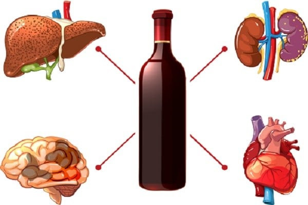Rượu phần lớn sẽ được hấp thụ tại tá tràng và đoạn hỗng tràng của ruột non