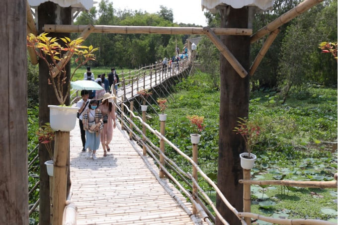 Cây cầu tre từ khi đưa vào hoạt động đã thu hút nhiều du khách đến tham quan, trải nghiệm