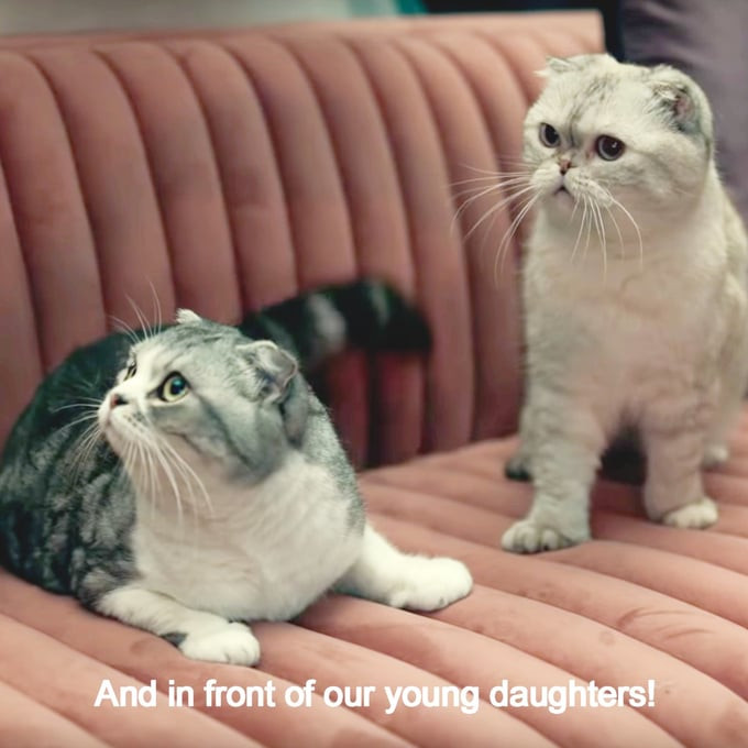 2 chú mèo Olivia Benson và Meredith Grey (1 trong 3 chú mèo của Taylor Swift) trong MV ME!