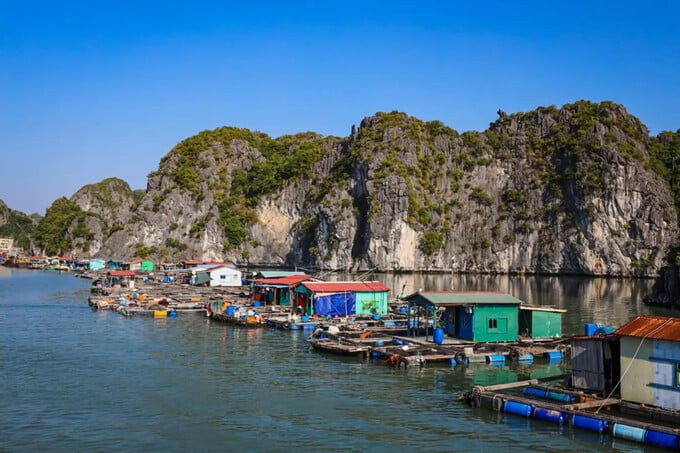 Nếu ghé thăm vào tháng 6, bạn sẽ có cơ hội ngắm nhìn toàn cảnh vẻ đẹp non nước tuyệt vời với thiên nhiên phong phú