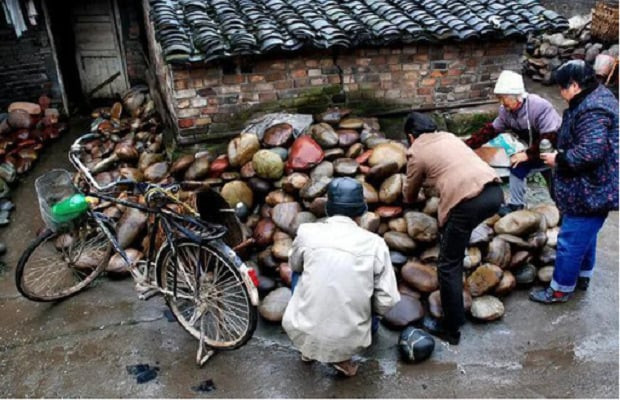 Người dân tại Hà Gia Bá sinh sống bằng nghề vớt đá dưới lòng sông