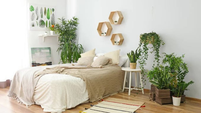 Việc bày biện cây xanh trang trí trong phòng ngủ đã trở thành thói quen phổ biến