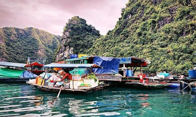 Làng Chài là nơi sinh sống của hơn 500 hộ dân với nghề truyền thống là đánh bắt thủy sản và nuôi cá lồng trên vịnh