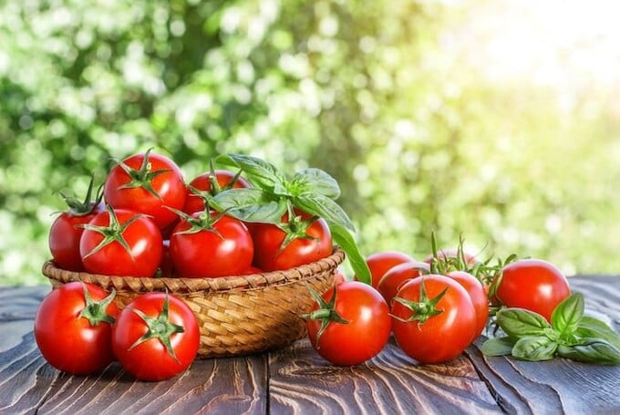 Cà chua là thực phẩm quen thuộc, dễ dàng bắt gặp trong mâm cơm của người Việt
