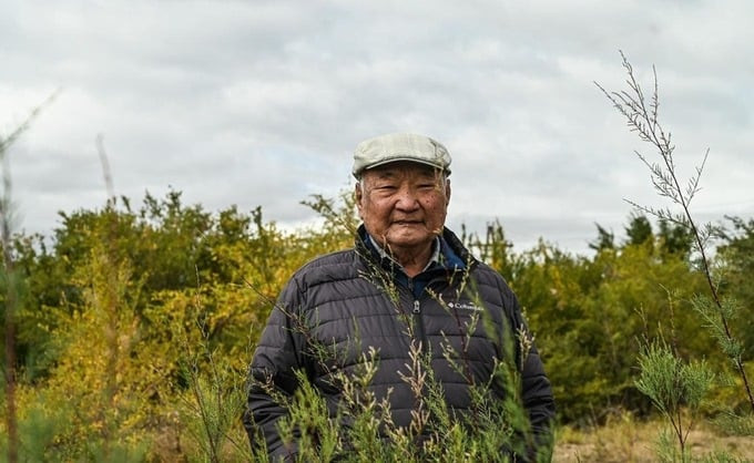Ông Baraaduuz trong khu rừng mà ông phát triển ở hoang mạc Gobi, Mông Cổ. Ảnh: CNA