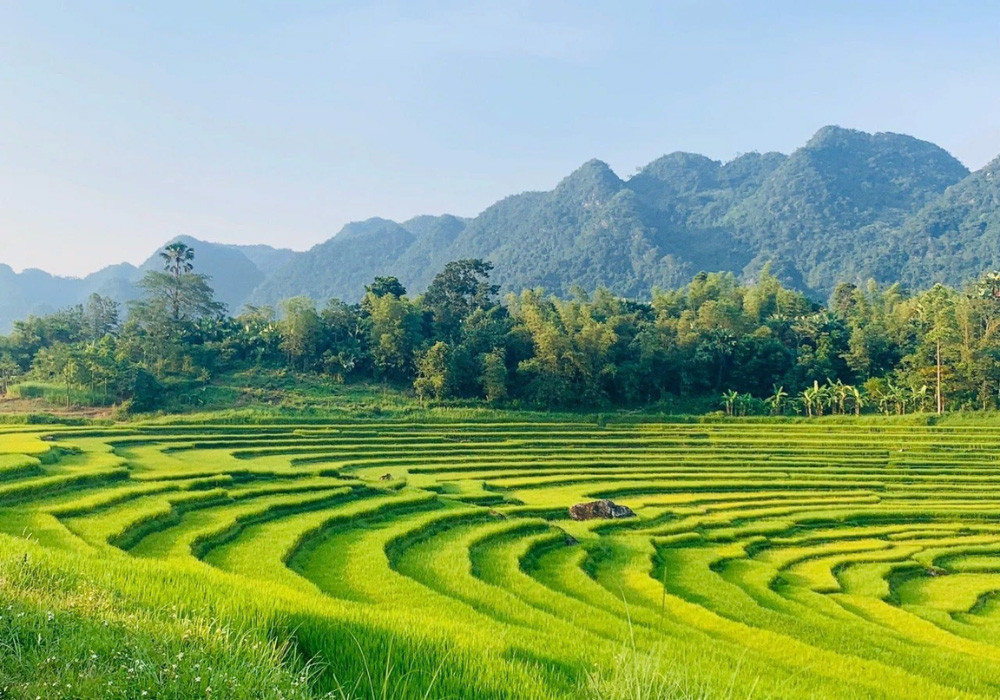 pu luong nature reserve.jpg