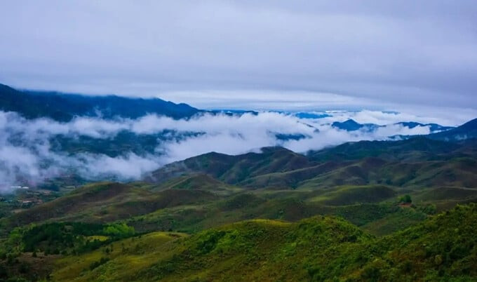 Chiêm ngưỡng biển mây tuyệt đẹp ở đỉnh Pa A Chải