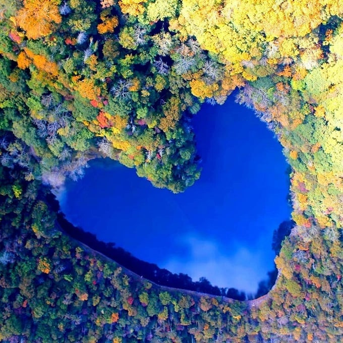 Nước hồ nước trong vắt giữa khu rừng bốn mùa lá đổi màu