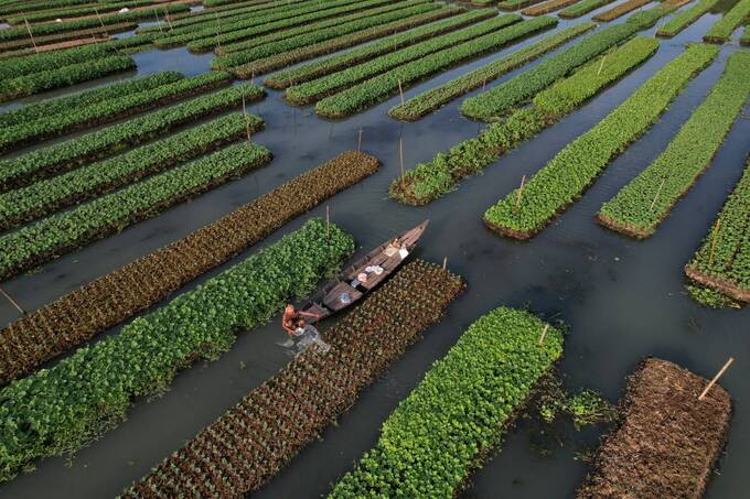 Vườn nổi là mô hình thủy canh truyền thống xuất hiện ở Bangladesh ít nhất 400 năm trước