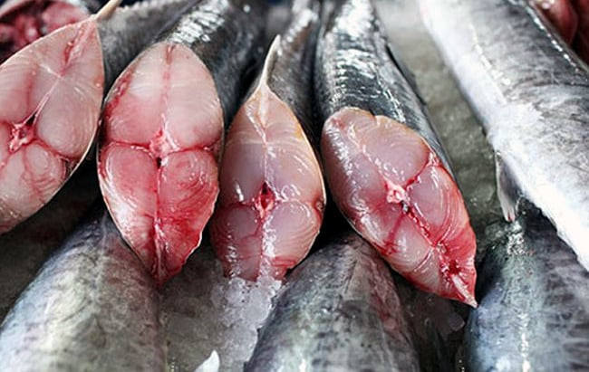 Ăn cá thu ít nhất một lần một tuần sẽ giảm đến 33% nguy cơ gãy xương