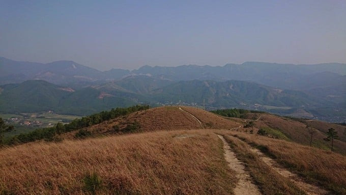 Những ngọn đồi bạt ngàn bên dưới thảm cỏ cháy ngả vàng ở Bình Hương là địa điểm check-in yêu thích của giới trẻ