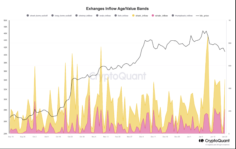 Exchange Inflow Age/Value Band (Nguồn: CryptoQuant/Crazzyblockk)