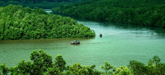 Năm 2000, Rừng Sác Cần Giờ được UNESCO công nhận là Khu Dự trữ Sinh quyển Thế giới đầu tiên tại Việt Nam.