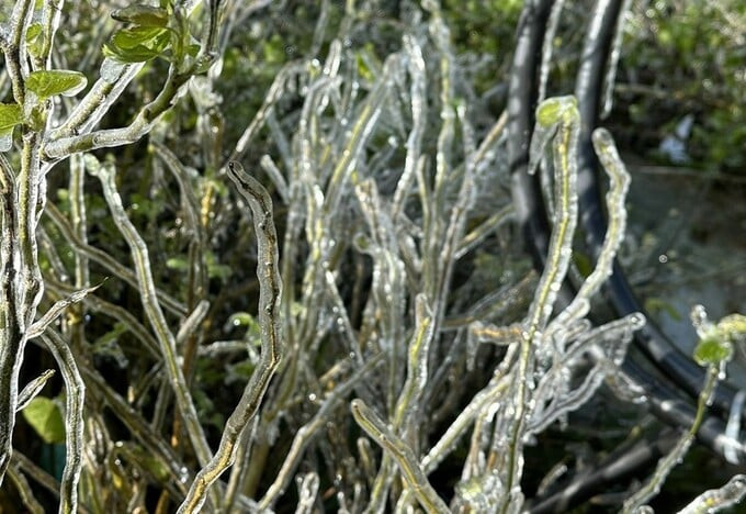Theo thông tin từ người dân địa phương, phần mái của chùa Đồng và cây cối xung quanh bị một lớp băng mỏng bao phủ