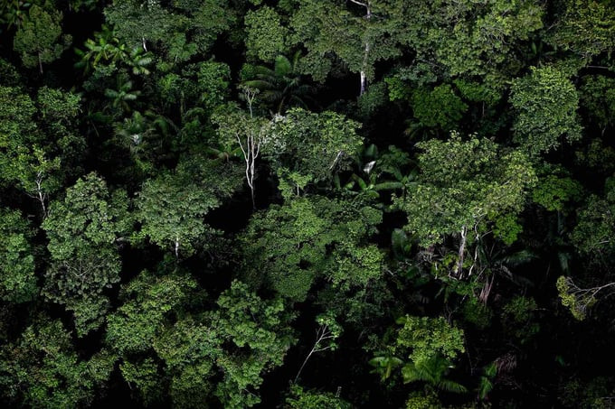 Bằng công nghệ quét laser LIDAR, nhà khảo cổ học đã phát hiện một nền văn minh đáng kinh ngạc mất tích hàng thế kỷ trong khu rừng rậm Amazon