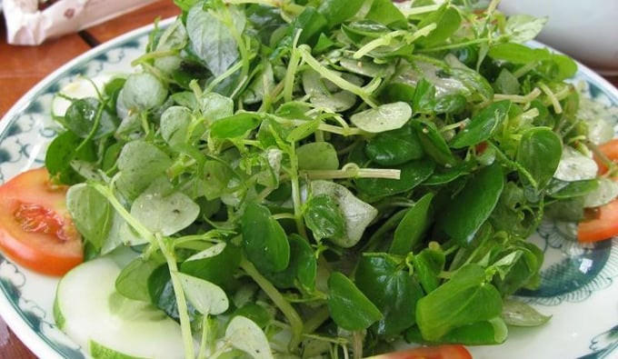 Hiện nay, loại rau này thường được dùng để trộn salad, nấu canh hoặc có thể ép trực tiếp lấy nước uống