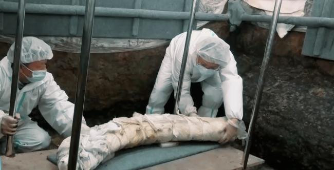 Không thể giải quyết triệt để vấn đề về oxy hóa, các chuyên gia đã ngay lập tức đề nghị nhân viên chôn lại toàn bộ số ngà voi được tìm thấy xuống đất để bảo vệ và bảo tồn chúng