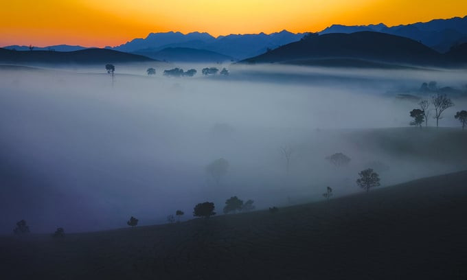 Thời điểm đẹp nhất để ngắm đồi chè là vào bình minh hoặc hoàng hôn khoảng cuối đông, đầu xuân