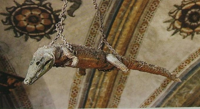 Con cá sấu treo trên trần nhà thờ 500 năm