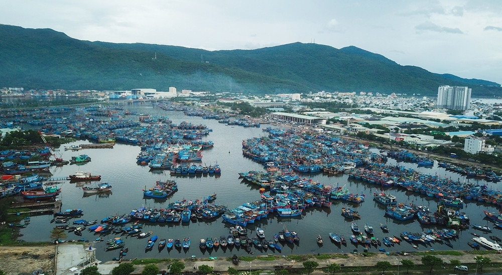 Đà Nẵng chi 250 tỷ đồng để biến cảng cá lớn nhất miền Trung thành địa điểm du lịch