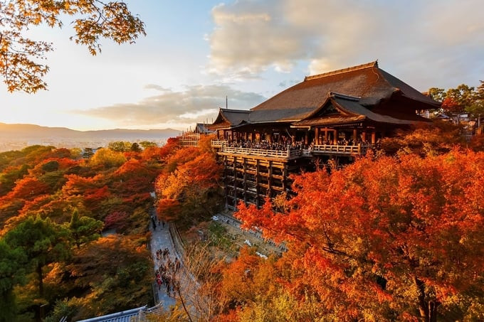 Chùa Kiyomizu được đánh giá là một trong những địa điểm ngắm lá đỏ đẹp nhất ở Kyoto