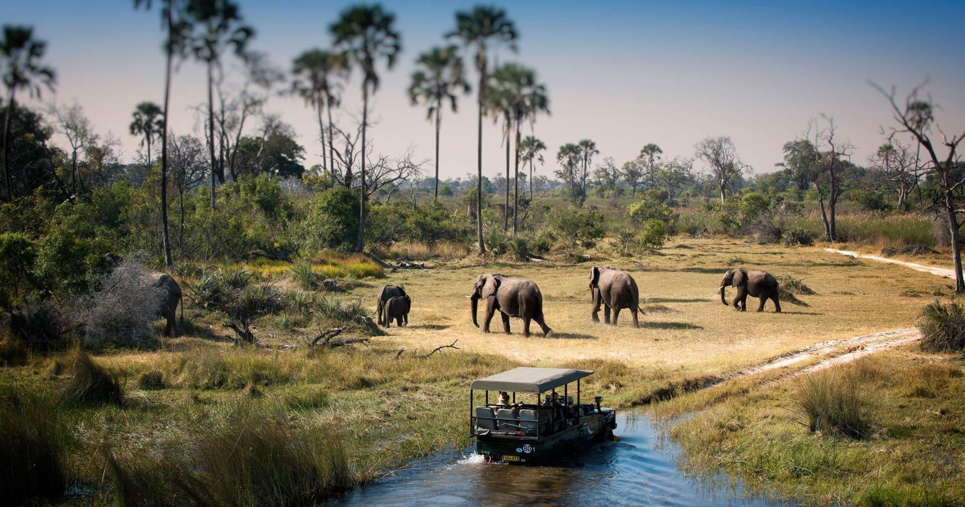 Vườn Quốc gia Chobe