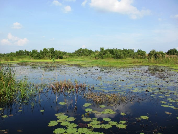 Biển Lạc là hồ nước mênh mông nằm giữa rừng già