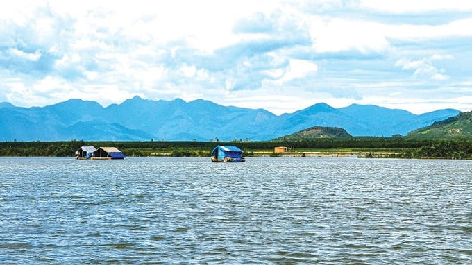 Vùng hồ nước ngọt Biển Lạc đang cùng các khu rừng già của Núi Ông hợp thành khu bảo tồn thiên nhiên