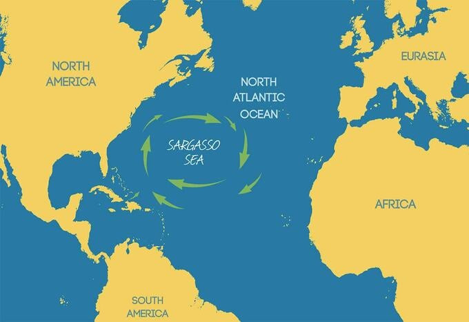 Đây là vùng biển không có bờ duy nhất trên Trái Đất với chiều dài khoảng 2.000 hải lý và rộng 1.000 hải lý, với diện tích tổng cộng hơn 4,5 triệu km2