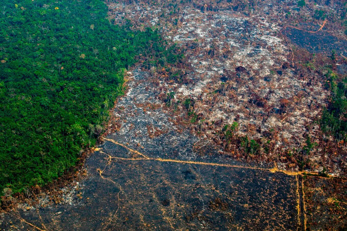 Amazon có thể phải đối mặt với tình cảnh thiếu nước ở mức độ chưa từng thấy vào năm 2050