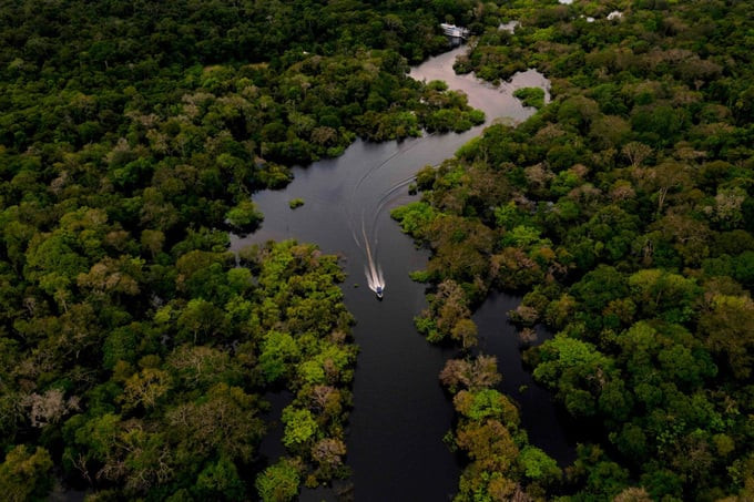 Amazon đóng vai trò đặc biệt quan trọng với nền khí hậu toàn cầu