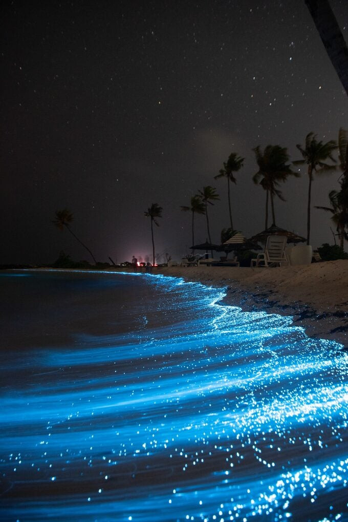 Bãi biển phát sáng này nổi tiếng với cái tên Glowing Beach hoặc Sea of Stars