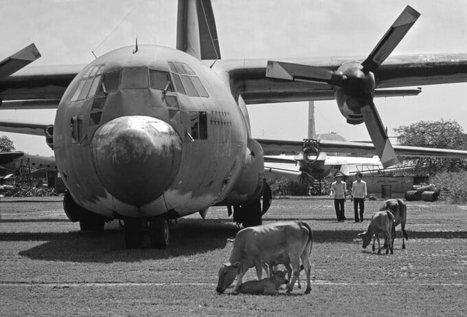 Máy bay C-130 tại “nghĩa địa” máy bay ở sân bay Tân Sơn Nhất, TP. HCM năm 1985. Sau khi chiến tranh kết thúc, nhiều chiếc máy bay Mỹ đã bị bỏ lại và không được sử dụng nữa. Ảnh: Philip Jones Griffiths