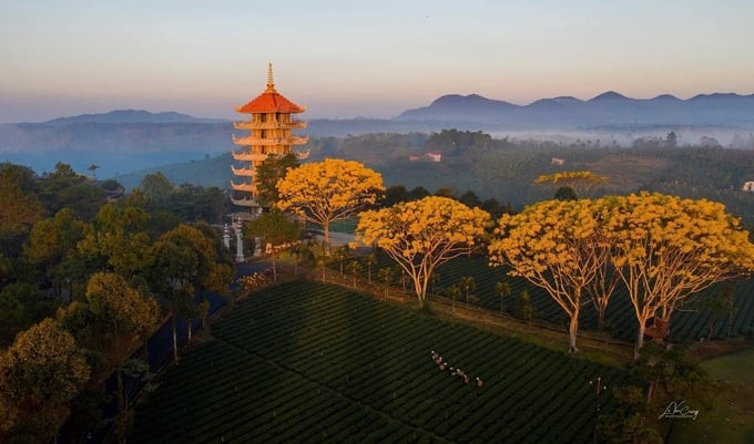 Tu Viện Bát Nhã tọa lạc trên một ngọn đồi cao tỉnh Lâm Đồng