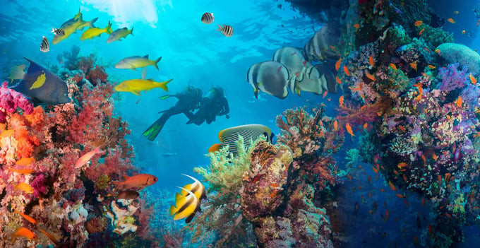 Khu dự trữ sinh quyển đảo san hô Baa được UNESCO công nhận năm 2011 là nơi lưu giữ những rạn san hô lớn nhất ở Ấn Độ Dương