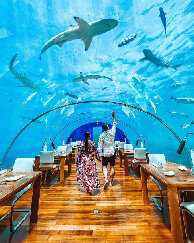 Khung cảnh tuyệt vời tại các nhà hàng dưới nước