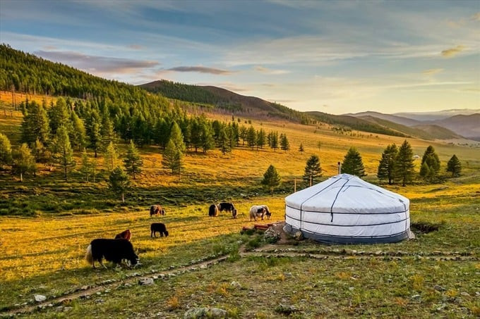 Những túp lều giữa thảo nguyên là nét đặc trưng của Mông Cổ