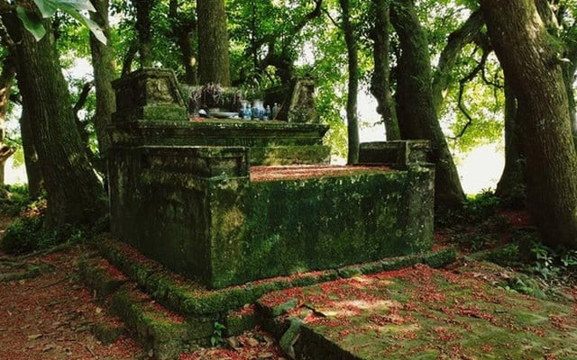 Ngôi mộ cổ phủ rêu xanh nhuốm màu thời gian nằm an yên dưới tán lộc vừng cổ thụ
