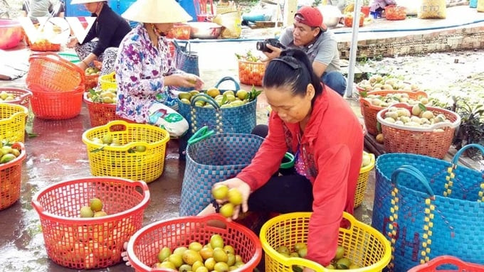 Hồng xiêm có giá rẻ, được bán nhiều ở chợ Việt