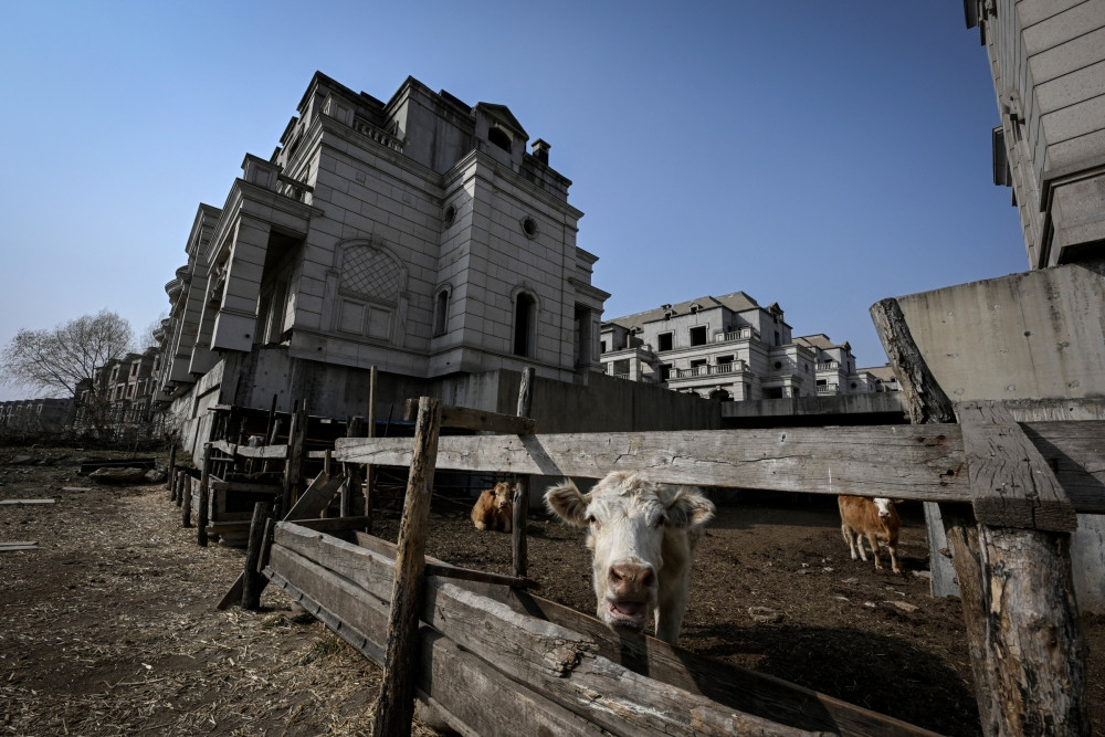 Cận cảnh hàng trăm căn biệt thự từng có giá triệu USD giờ bị bỏ hoang, biến thành nơi nuôi bò và dê