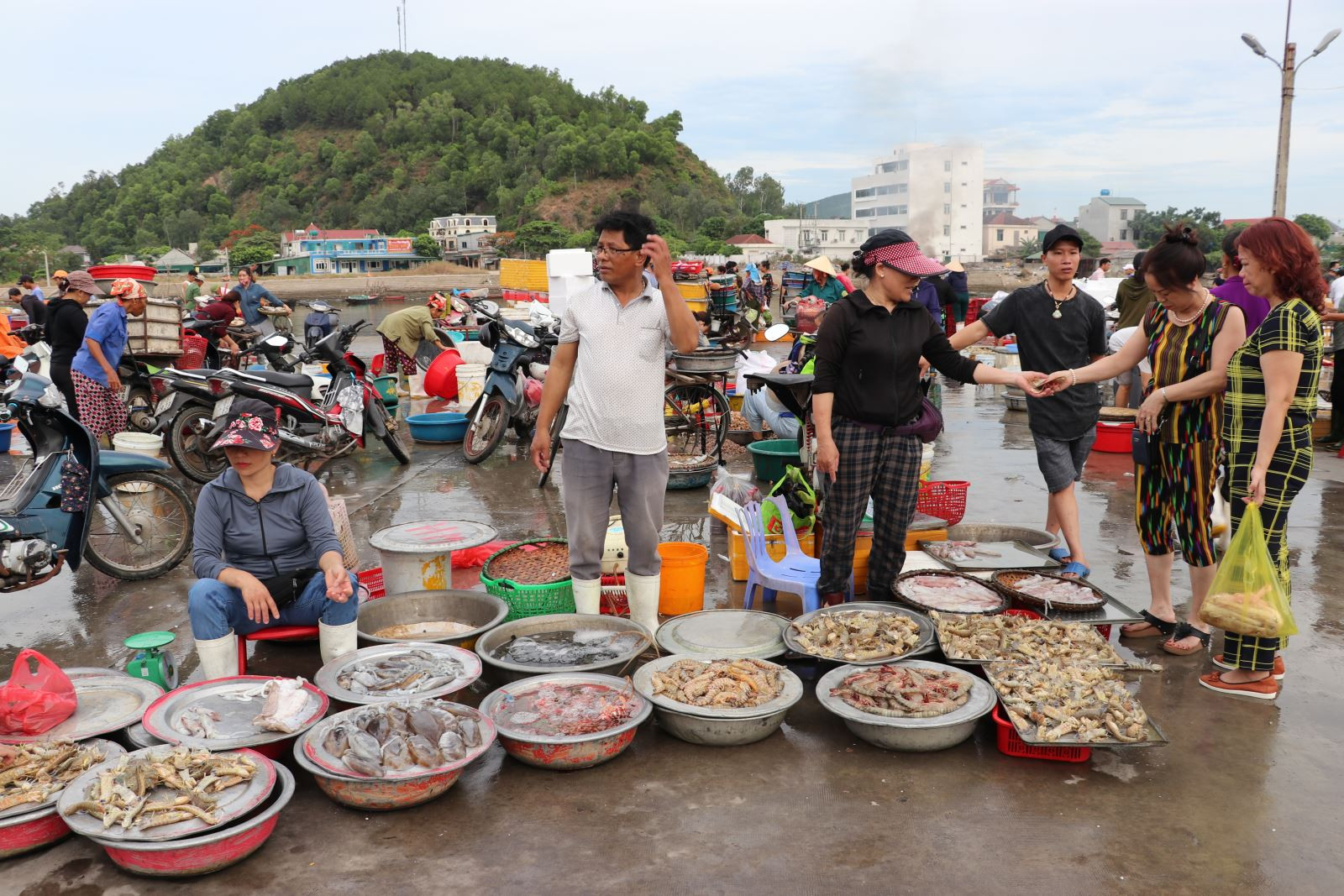 Sôi động chợ cá Cửa Lò | baotintuc.vn