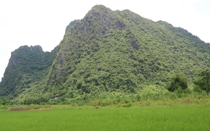 Núi Mằn.