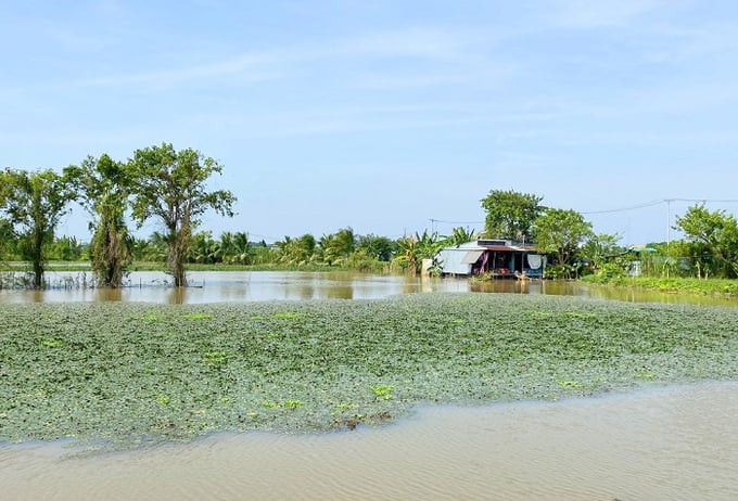 Dòng Vàm Nao tuy ngắn nhưng do cấu trúc địa hình và tốc độ dòng chảy siết nên hai cửa sông luôn hình thành những xoáy nước to và dữ