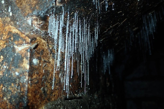Đường hầm trăm năm tuổi bị bỏ hoang bỗng 'nổi như cồn' bởi vệt sáng xanh kỳ lạ