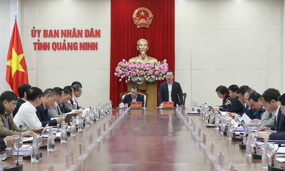 Quảng Ninh và EVN họp bàn gỡ vướng đầu tư xây dựng các dự án lưới điện trên địa bàn- Ảnh 3.