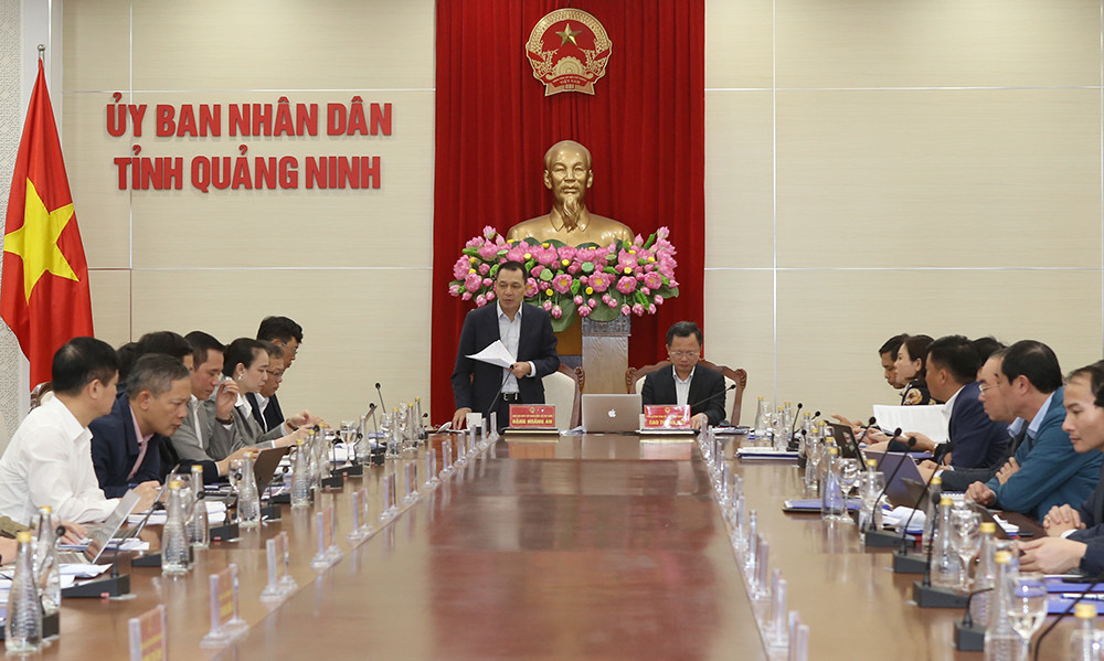 Quảng Ninh và EVN họp bàn gỡ vướng đầu tư xây dựng các dự án lưới điện trên địa bàn- Ảnh 2.