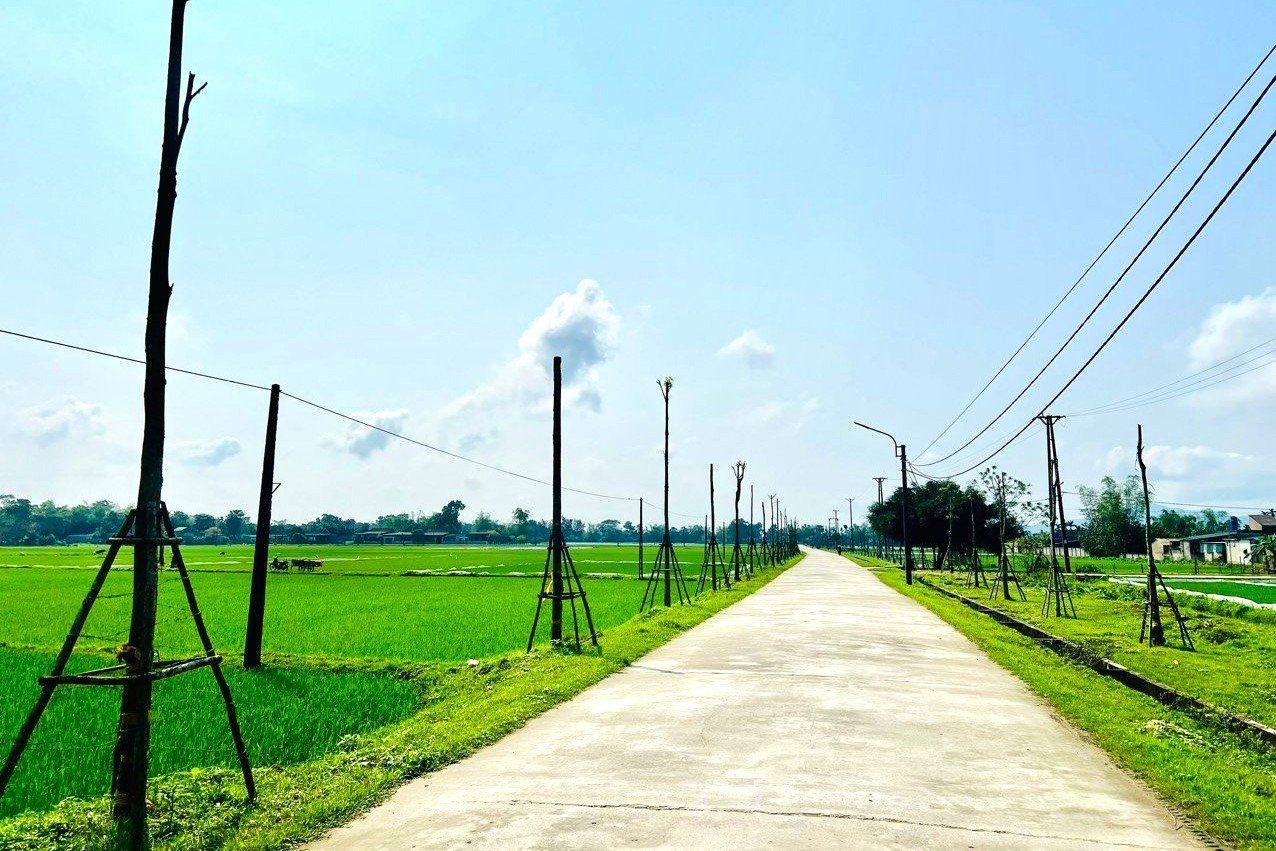 Một doanh nghiệp miền Nam làm loạt dự án trồng cây xanh ở Hà Tĩnh