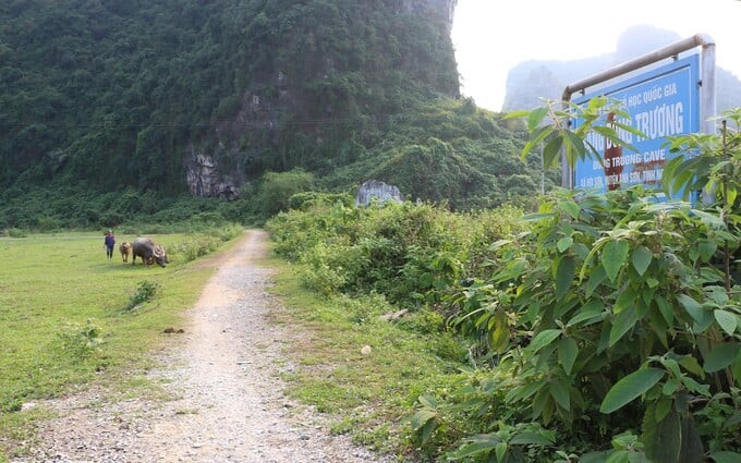 Con đường dẫn vào hang Đồng Trương