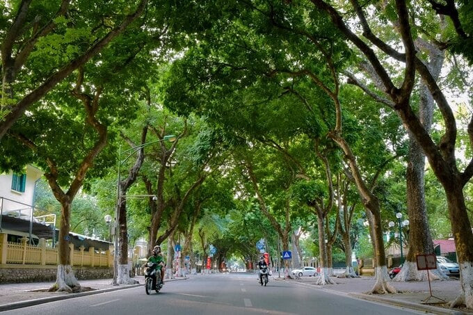 Đường Phan Đình Phùng được mệnh danh là con đường đẹp nhất Hà Nội.