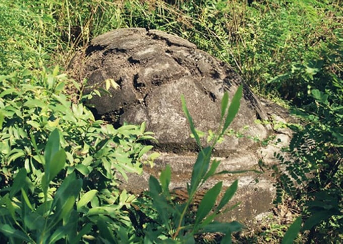 Mộ cổ loại hình mai rùa